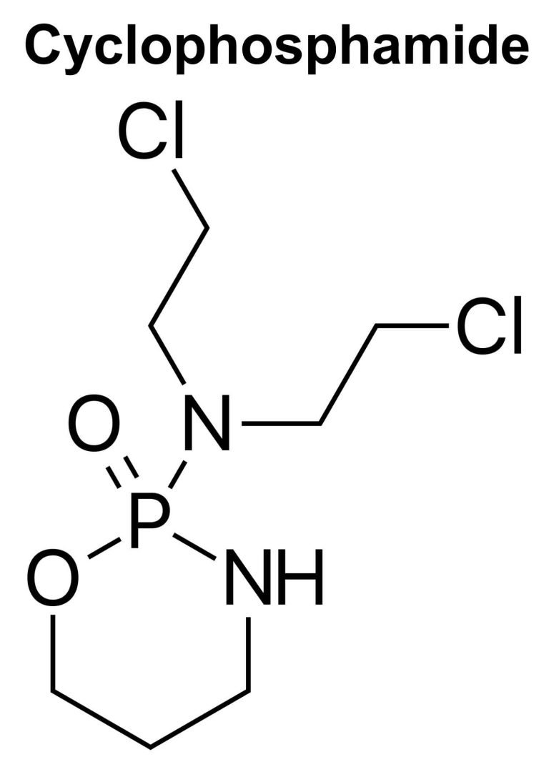 cyclophosphamide monohydrate